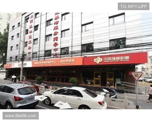 北京10开奖网址官方最新公布与查询指南